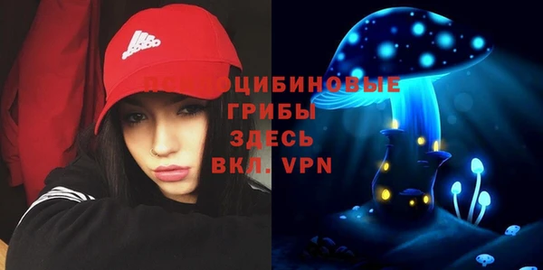 2c-b Алексин