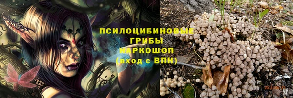2c-b Алексин